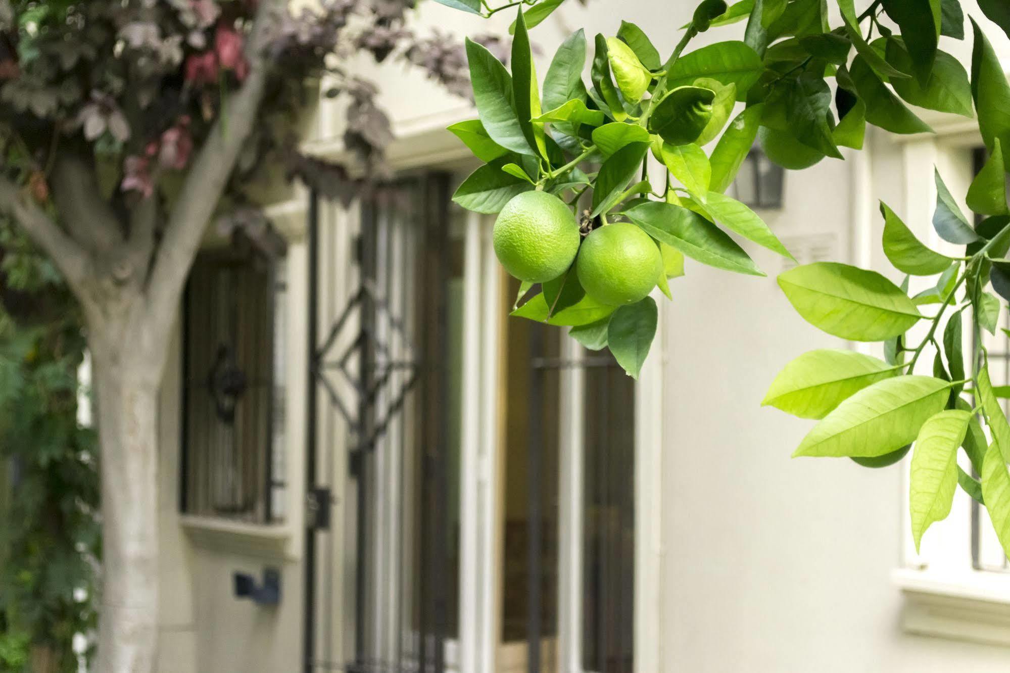 Casa Noble Villa Мендоса Екстериор снимка